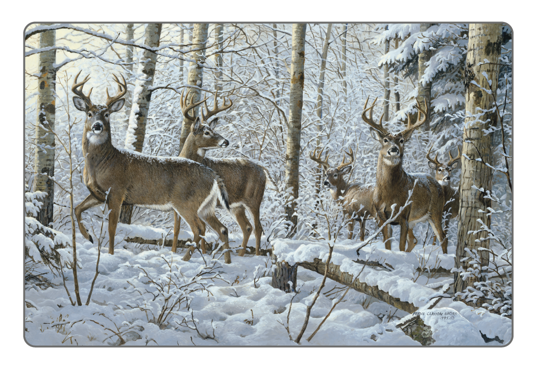 Triumph Calendars Wildlife Art Pocket Calendar-4153