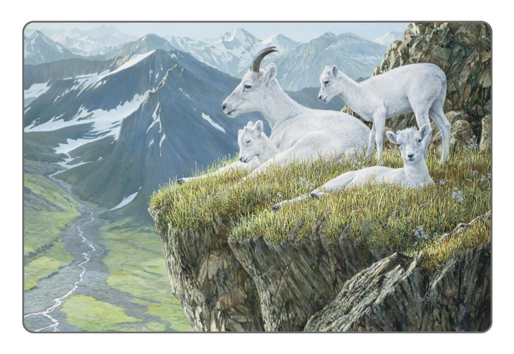 Triumph Calendars Wildlife Art Pocket Calendar-4153
