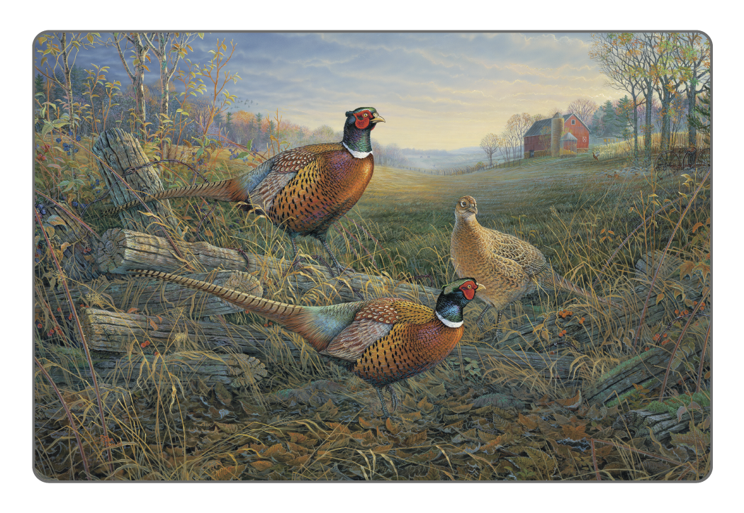 Triumph Calendars Wildlife Art Pocket Calendar-4153