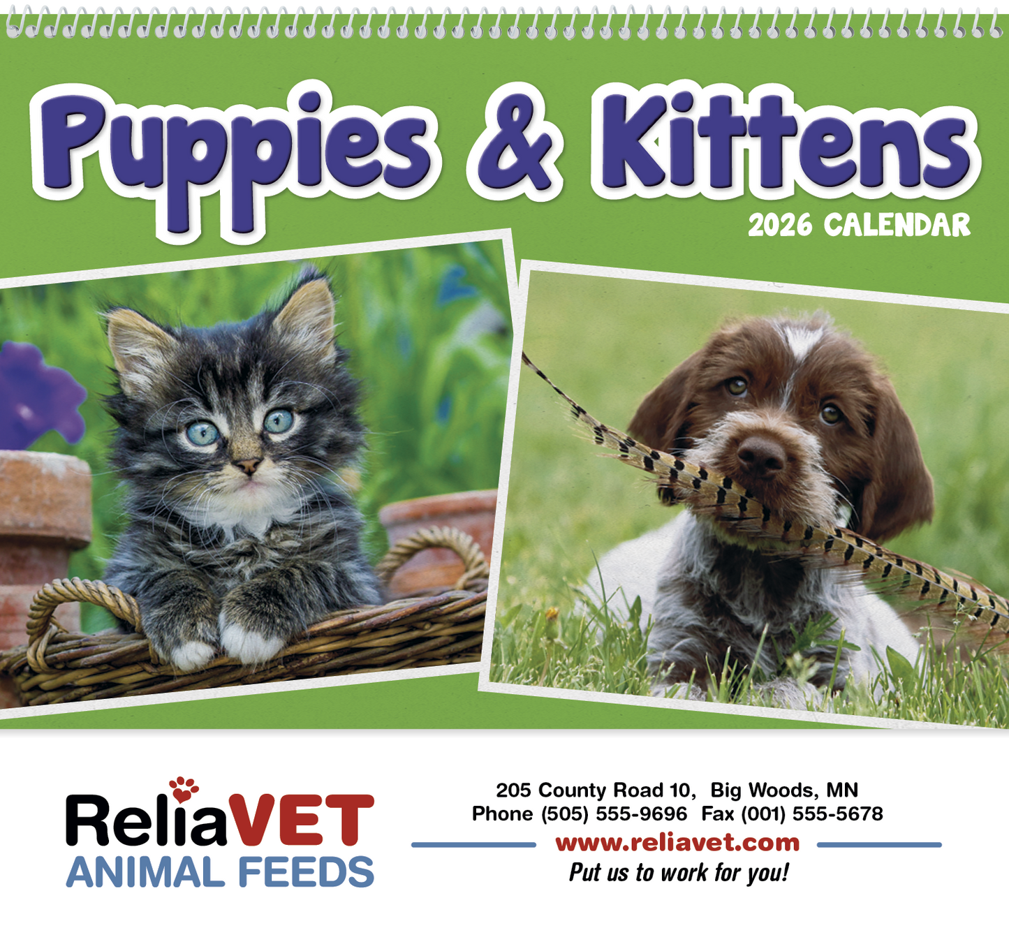 Triumph Calendars Puppies Kittens Pocket Calendar-4155