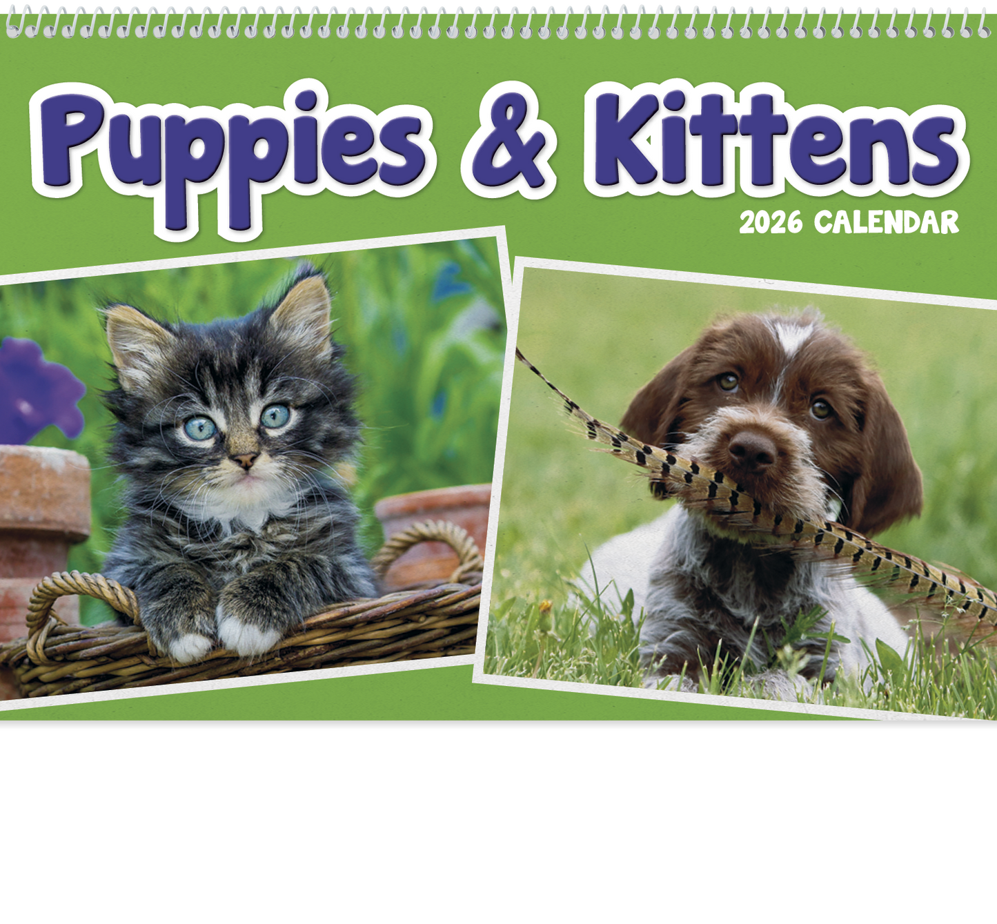 Triumph Calendars Puppies Kittens Pocket Calendar-4155