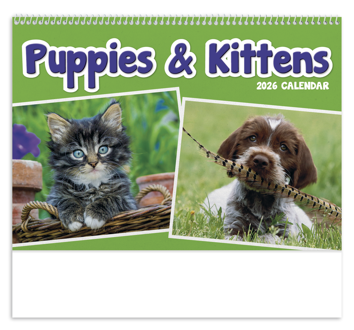 Triumph Calendars Puppies Kittens Pocket Calendar-4155