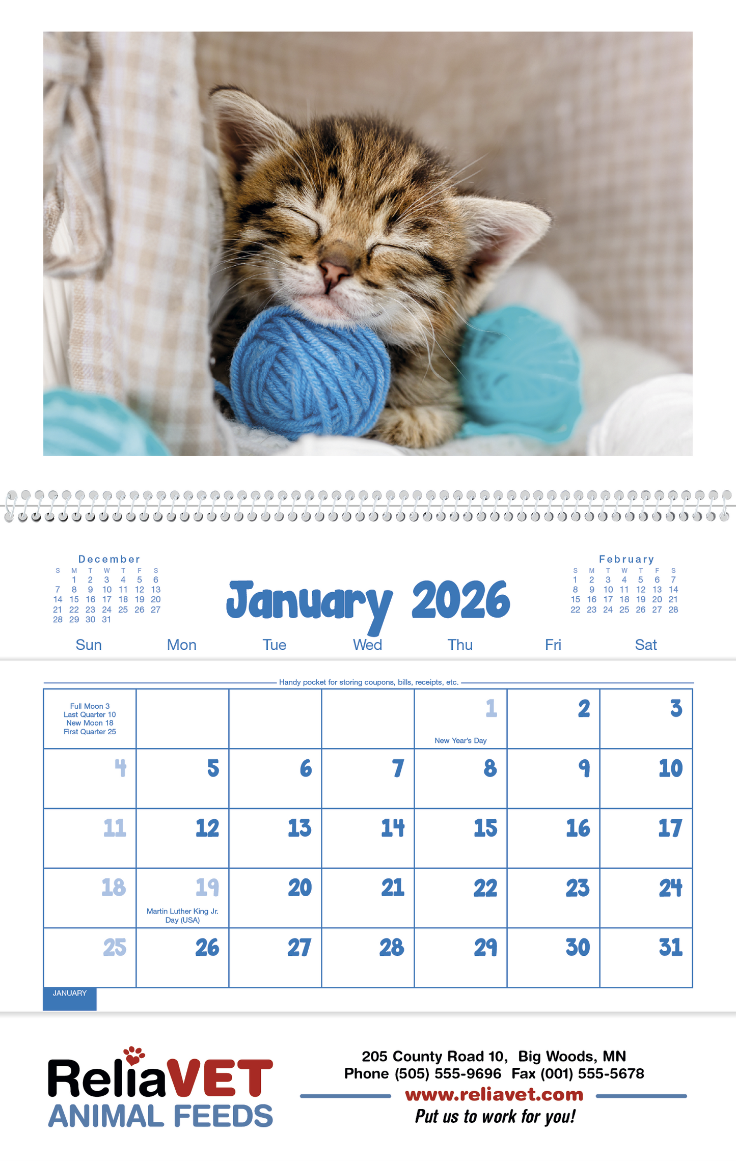 Triumph Calendars Puppies Kittens Pocket Calendar-4155
