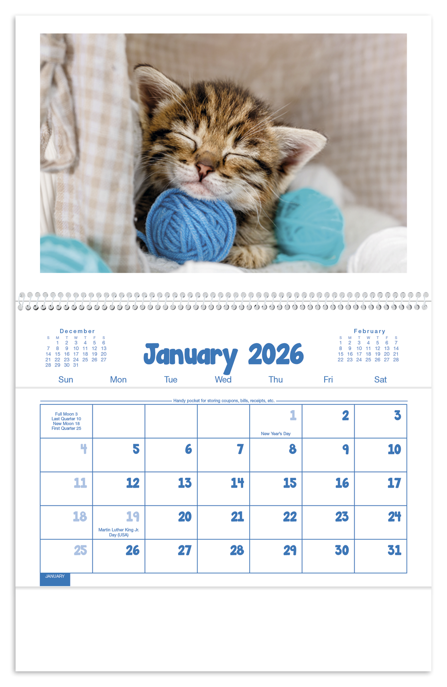 Triumph Calendars Puppies Kittens Pocket Calendar-4155