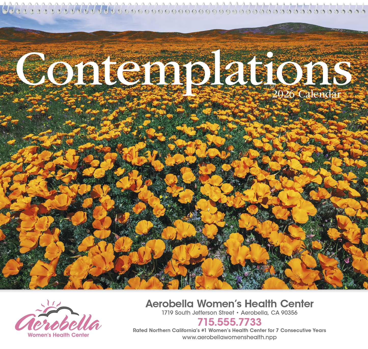 HotLine Products Contemplations Appointment Calendar Spiral-425