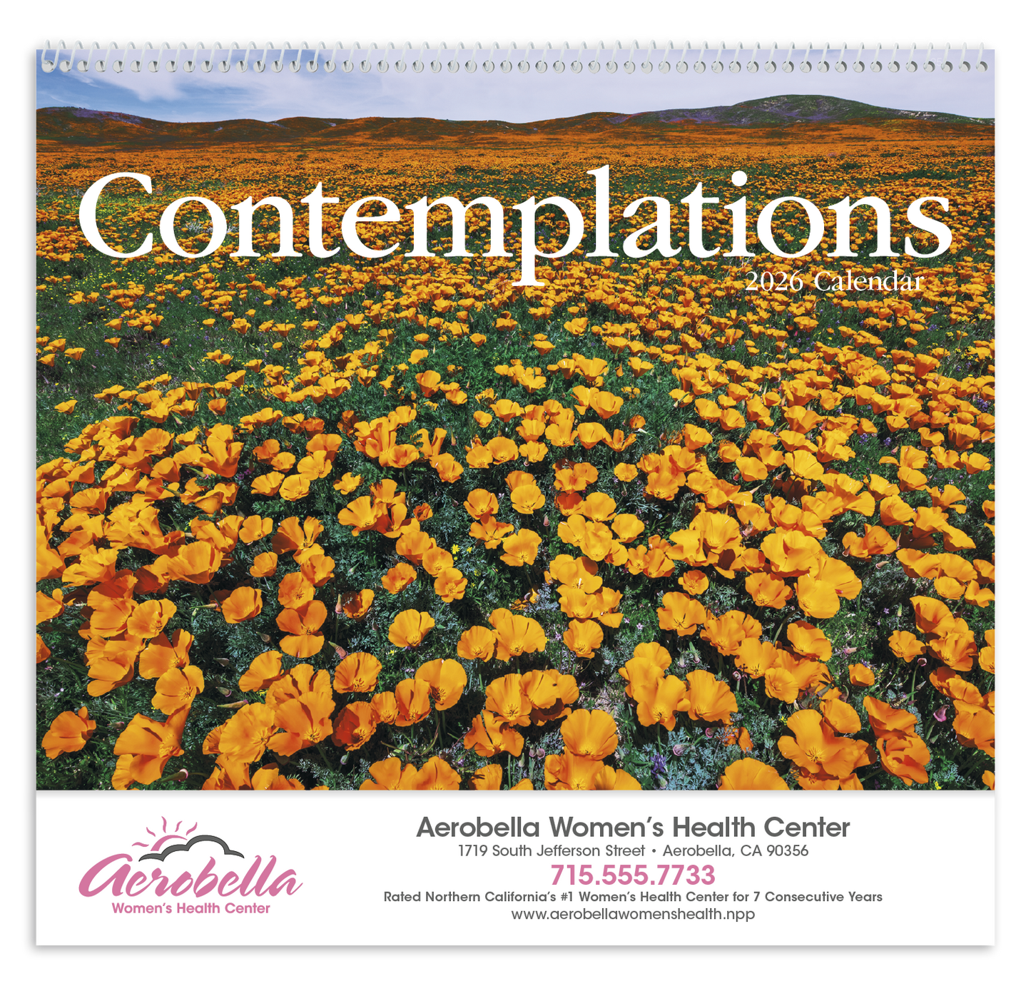 HotLine Products Contemplations Appointment Calendar Spiral-425