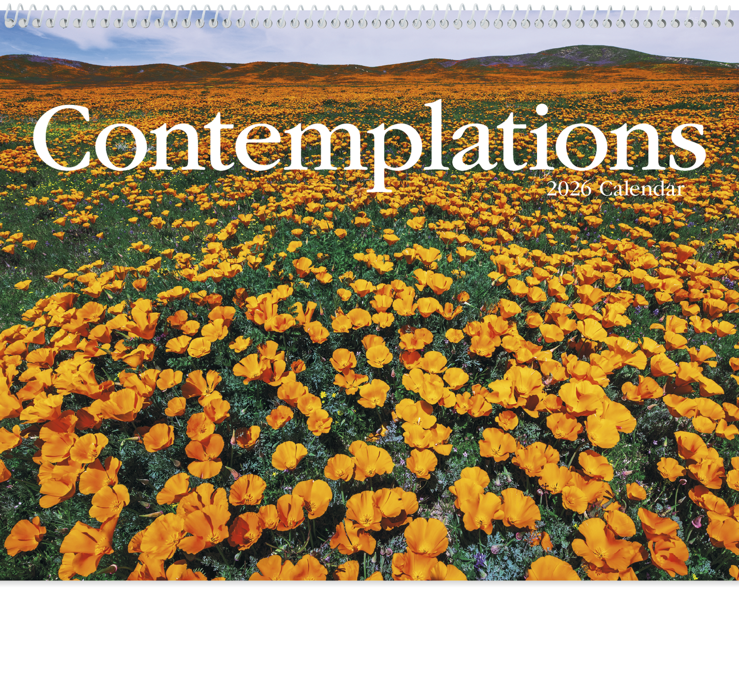 HotLine Products Contemplations Appointment Calendar Spiral-425