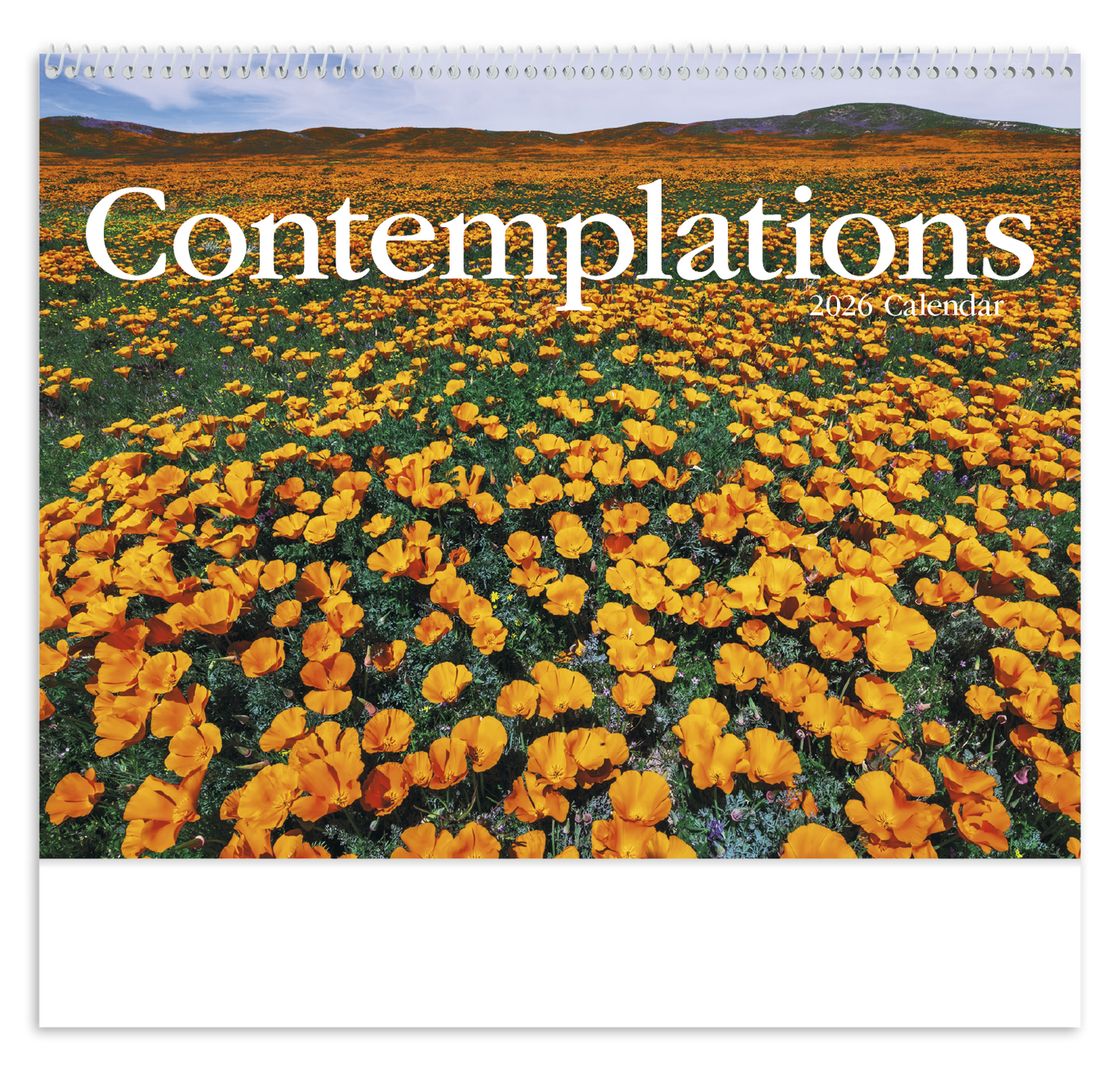 HotLine Products Contemplations Appointment Calendar Spiral-425