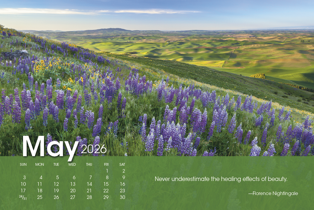 Triumph Calendars Scenic Moments Large Desk Calendar-4275