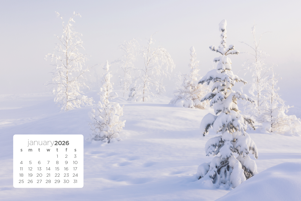 Triumph Calendars Simplicity Large Desk Calendar-4277