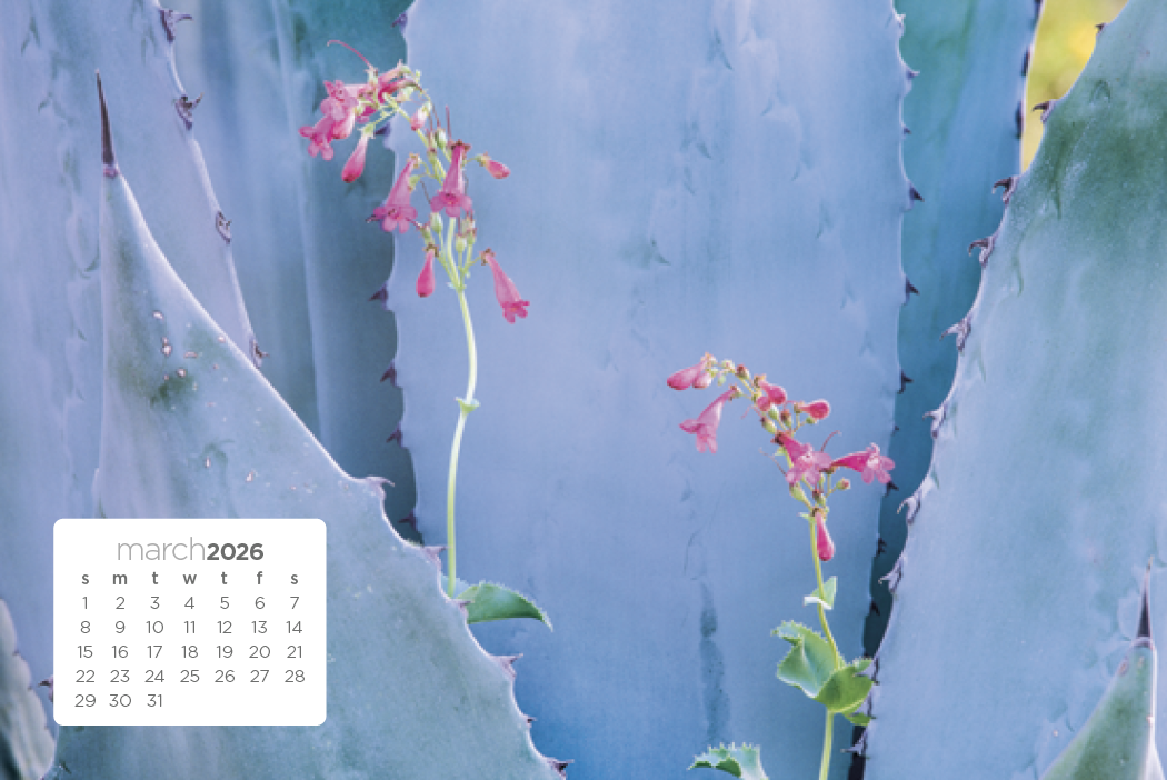 Triumph Calendars Simplicity Large Desk Calendar-4277