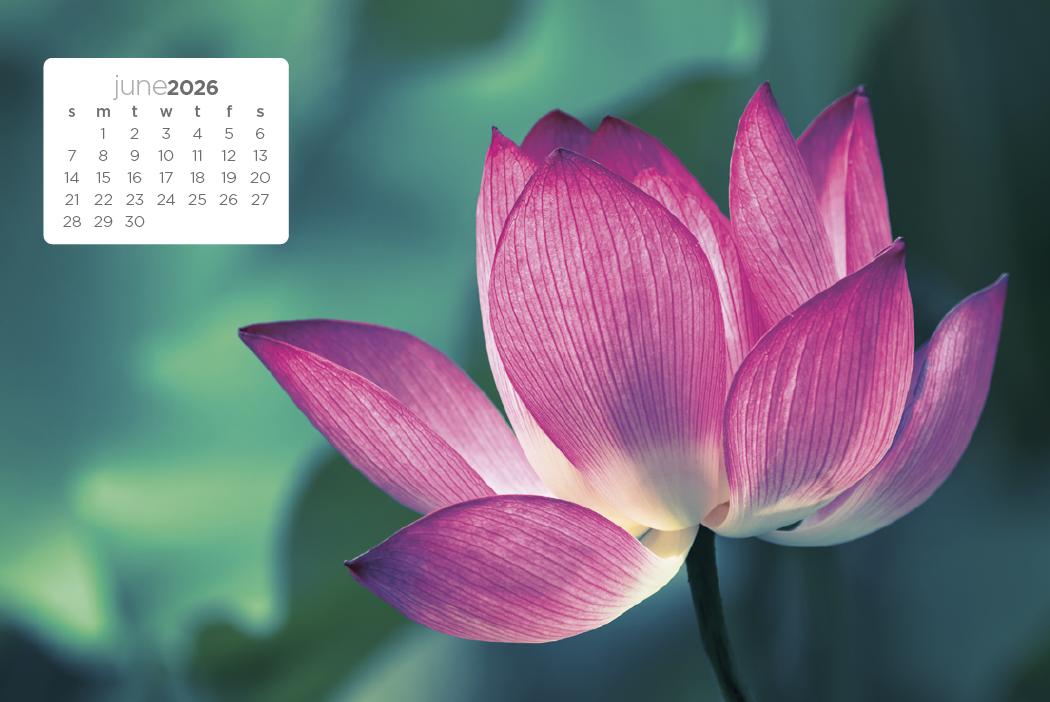 Triumph Calendars Simplicity Large Desk Calendar-4277
