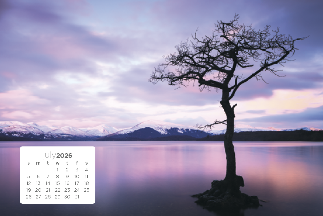 Triumph Calendars Simplicity Large Desk Calendar-4277