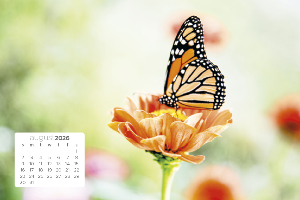 Triumph Calendars Simplicity Large Desk Calendar-4277