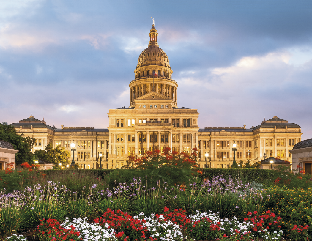 HotLine Products Texas Appointment Calendar Spiral-436