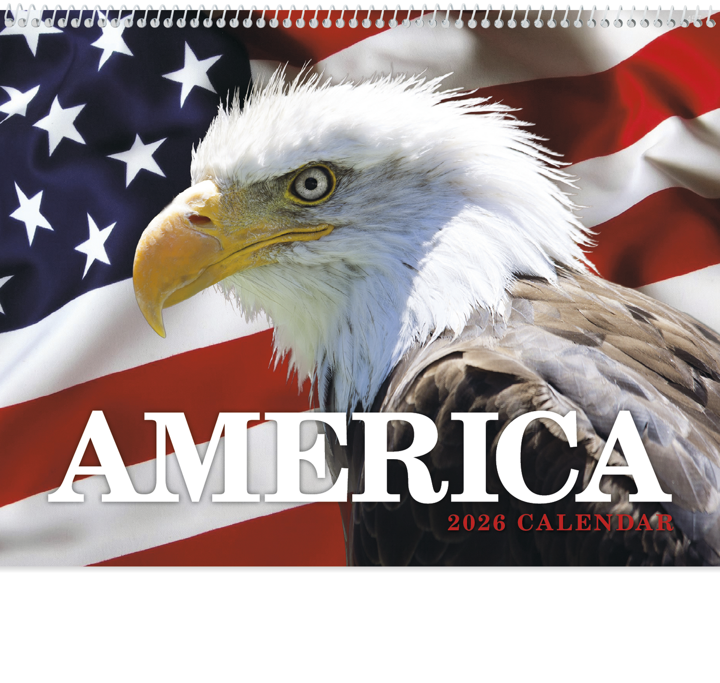 HotLine Products America Appointment Calendar Spiral-457