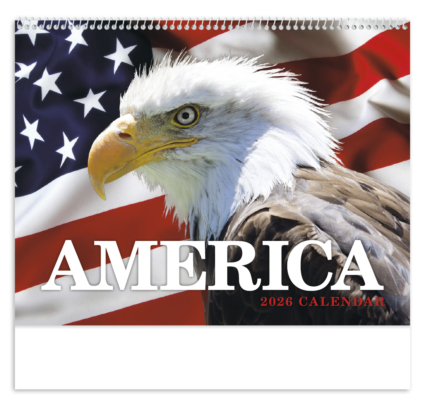 HotLine Products America Appointment Calendar Spiral-457