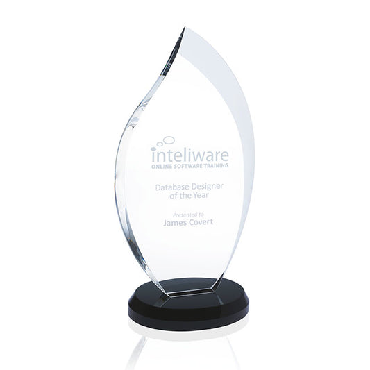 JAFFA Innovation Award  Medium-36363
