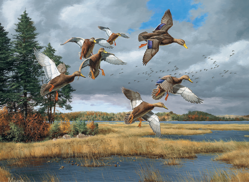 HotLine Products Maass Wildfowl Executive Calendar-614