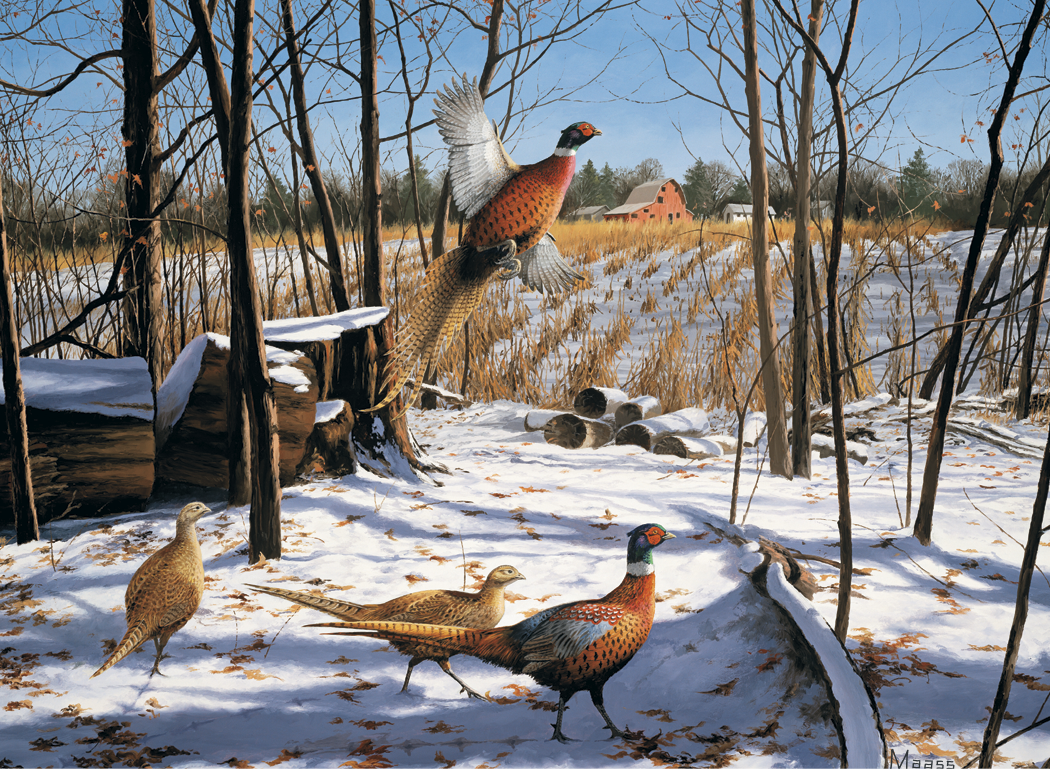 HotLine Products Maass Wildfowl Executive Calendar-614