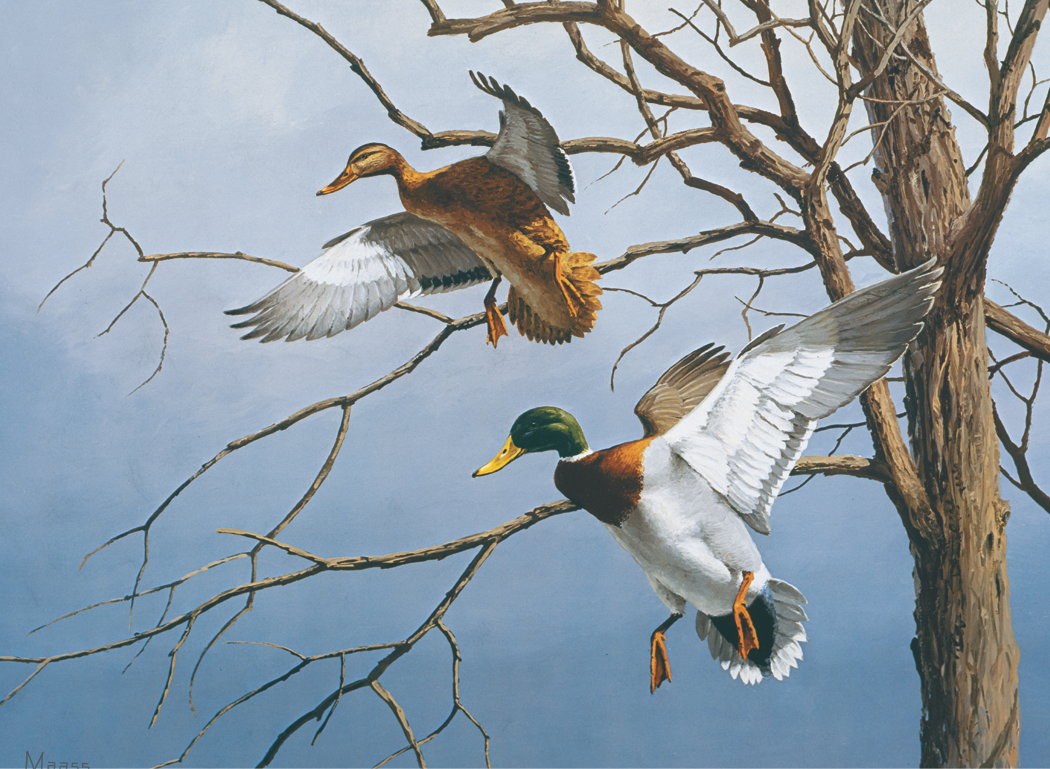 HotLine Products Maass Wildfowl Executive Calendar-614