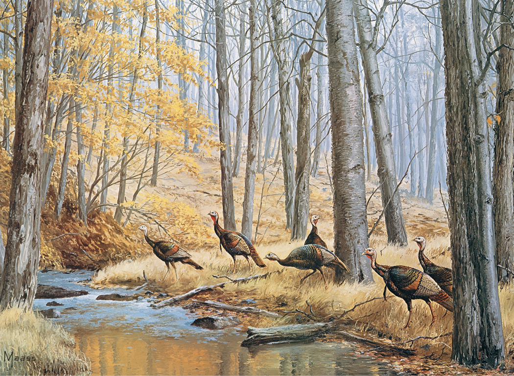 HotLine Products Maass Wildfowl Executive Calendar-614