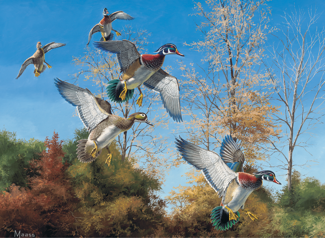 HotLine Products Maass Wildfowl Executive Calendar-614