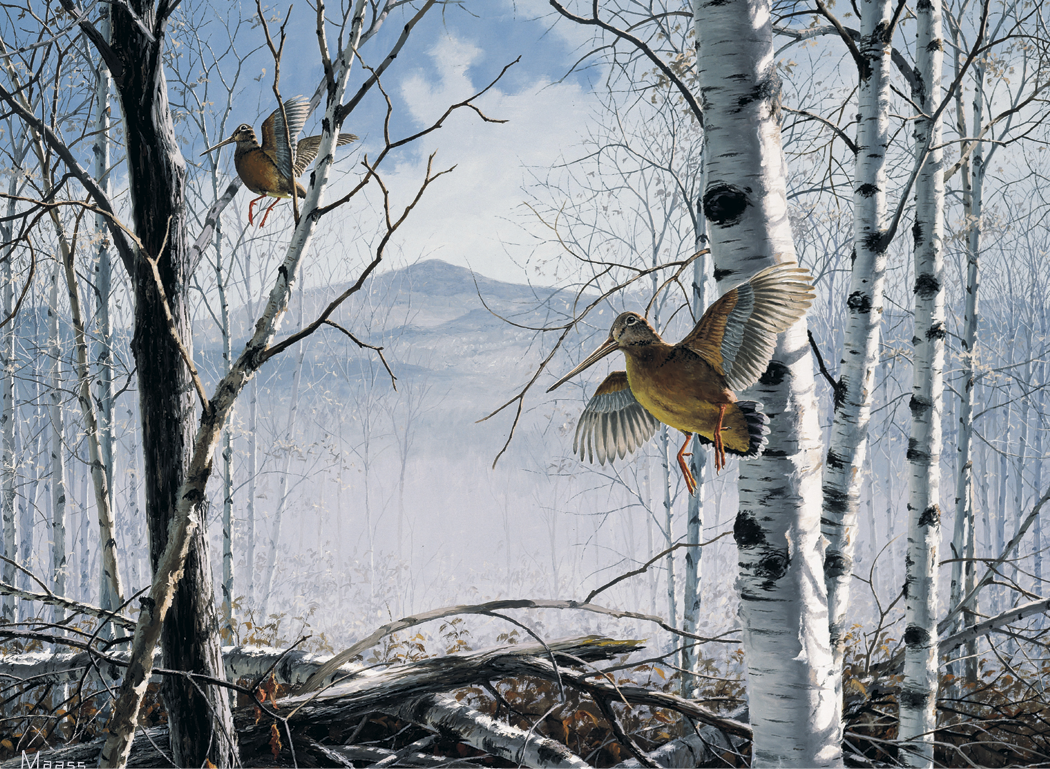 HotLine Products Maass Wildfowl Executive Calendar-614