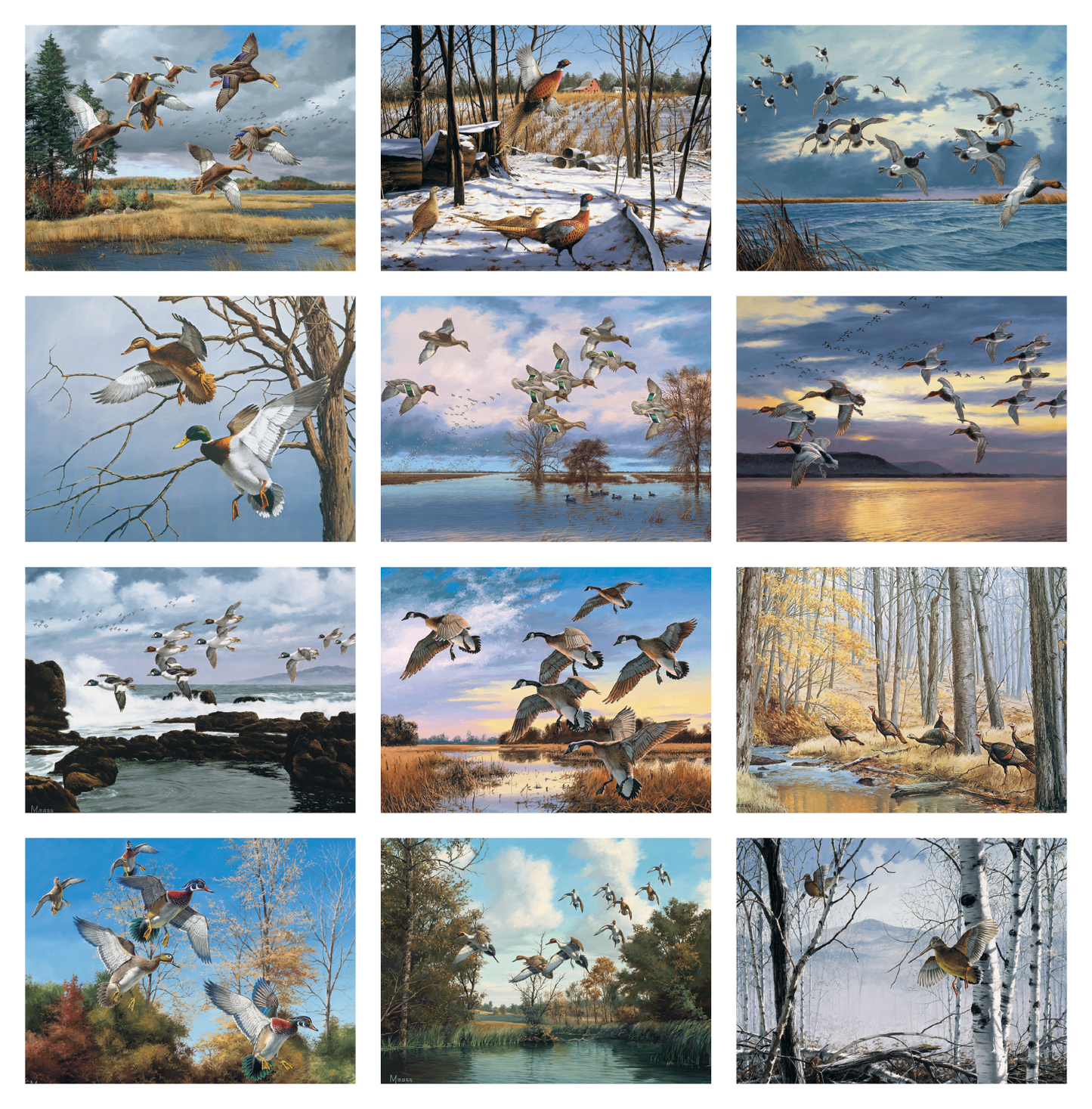 HotLine Products Maass Wildfowl Executive Calendar-614