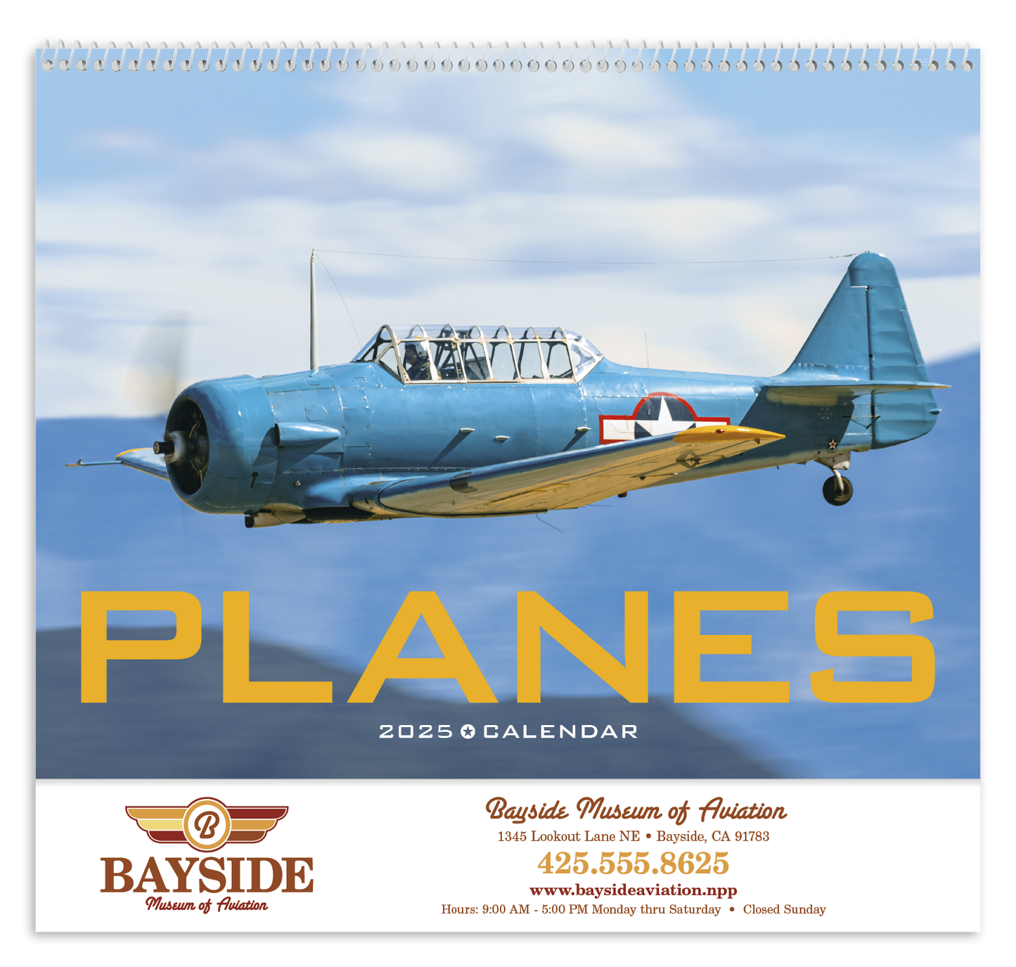 Triumph Calendars Planes Calendar-1852