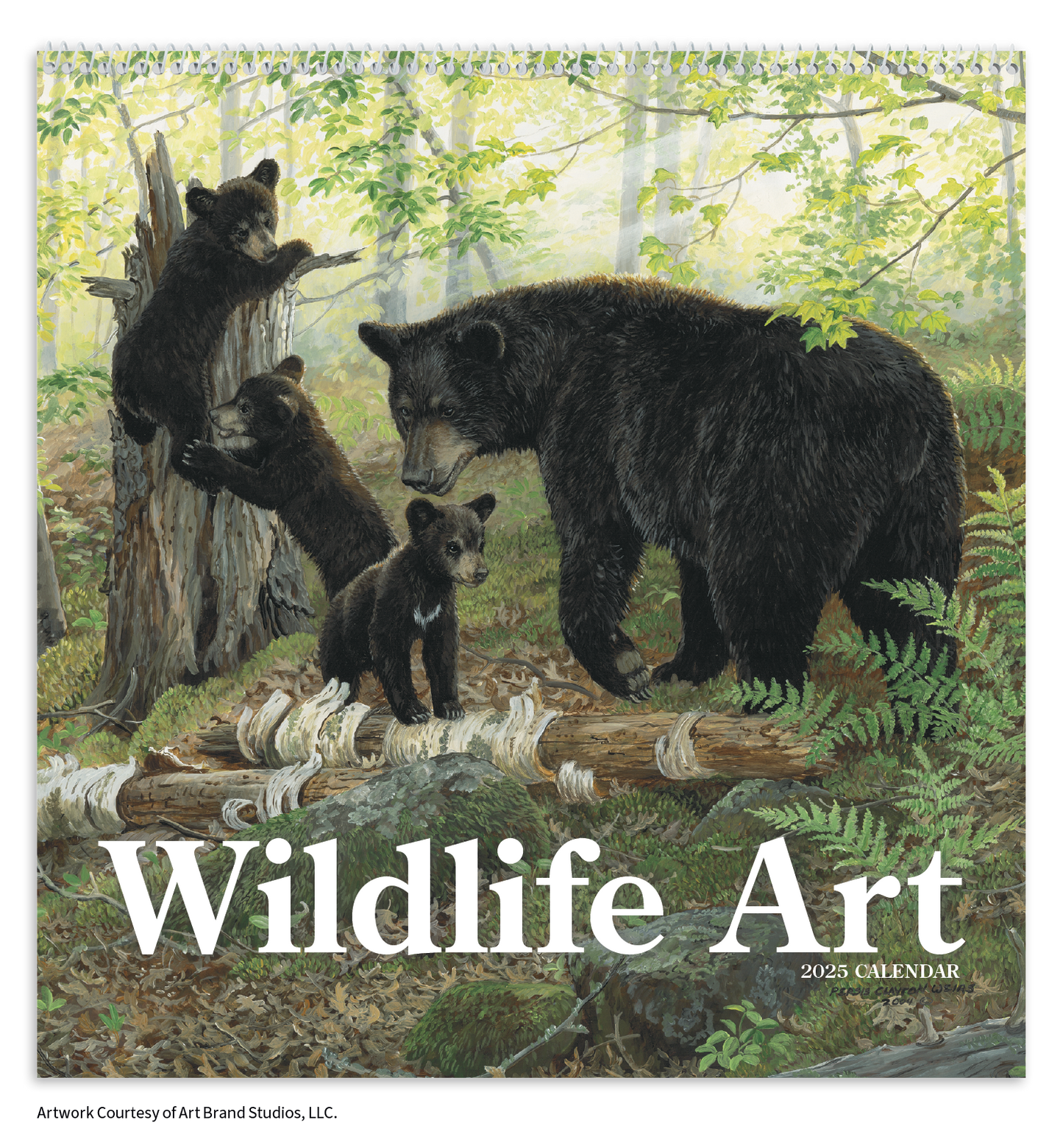 Triumph Calendars Wildlife Art Calendar-2104