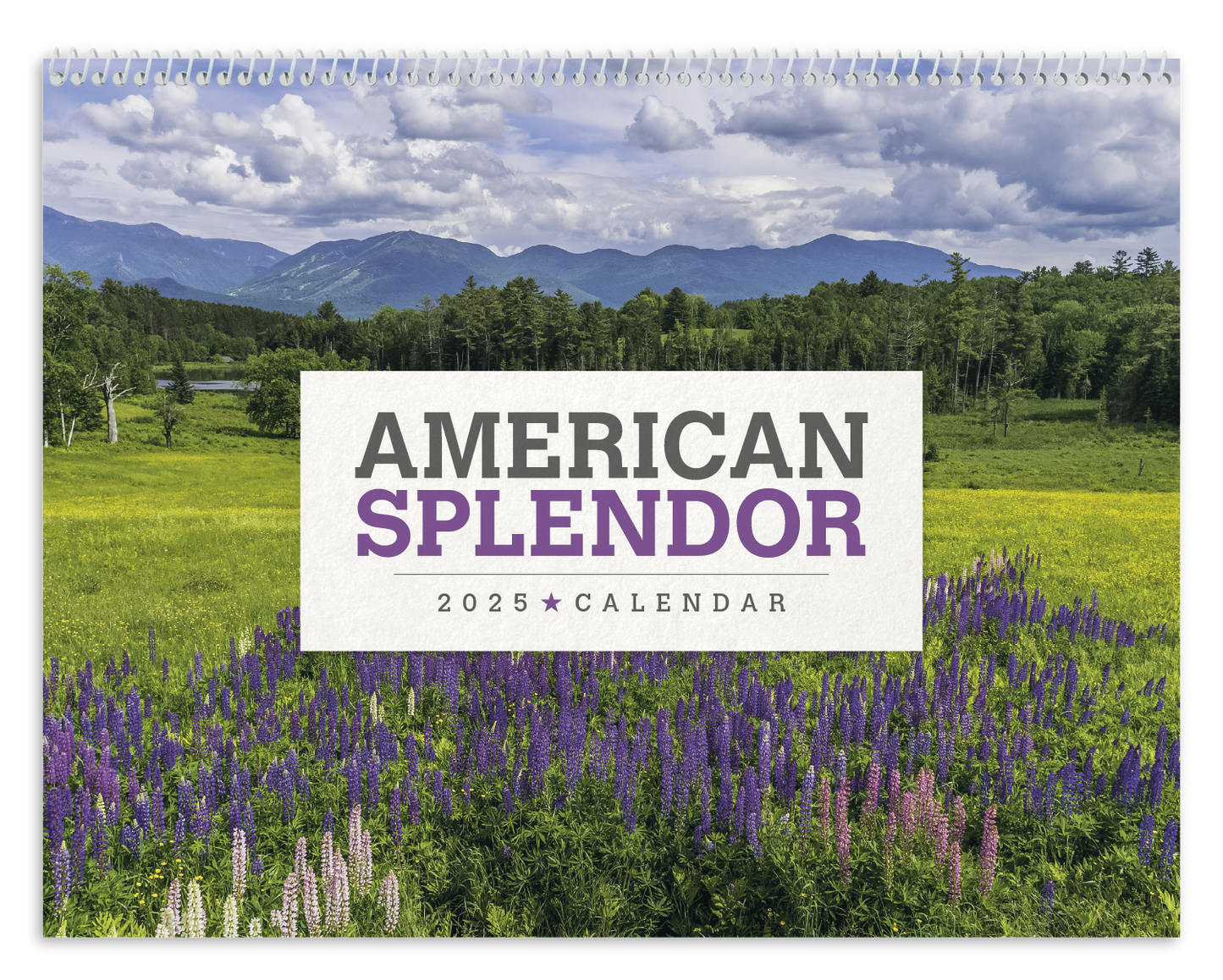 Triumph Calendars American Splendor Calendar-2507