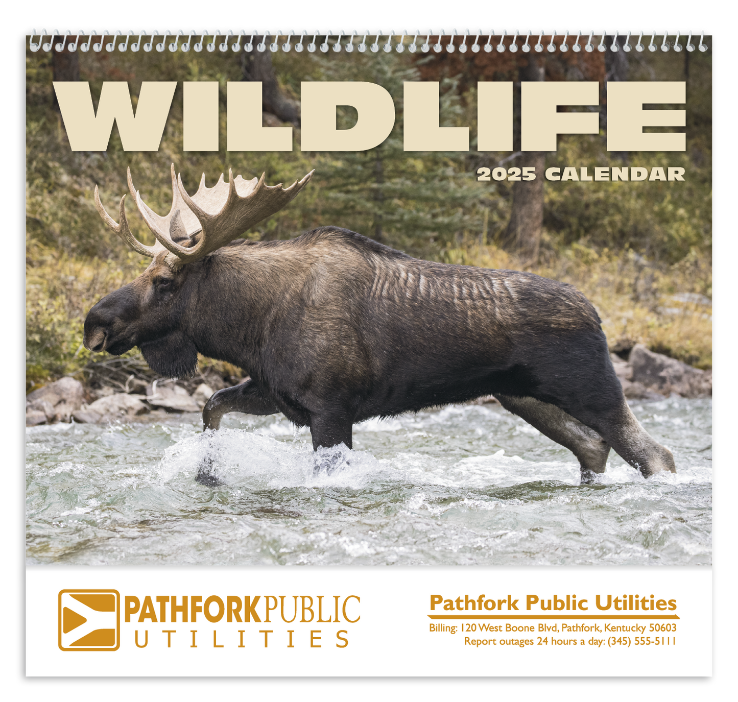 HotLine Products Wildlife Appointment Calendar Spiral-403