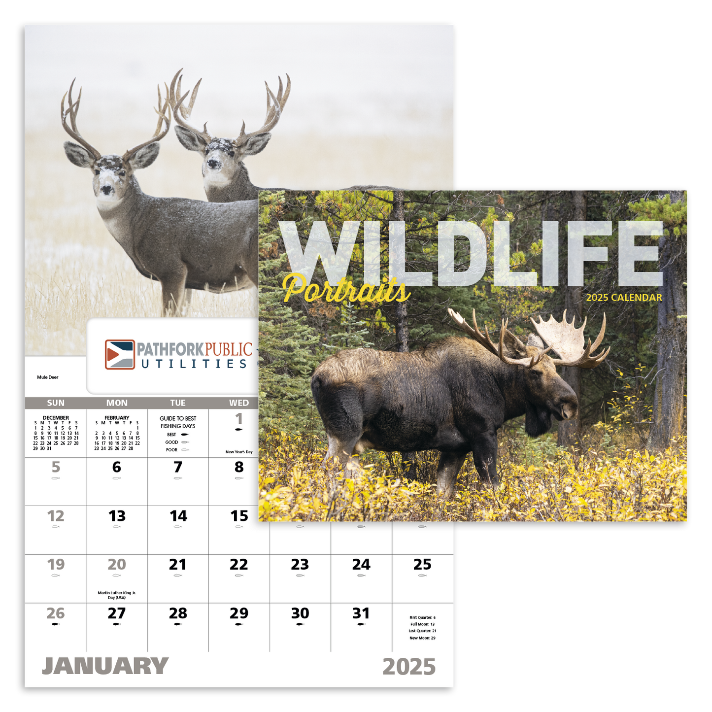 Good Value Wildlife Portraits Window Calendar-7563