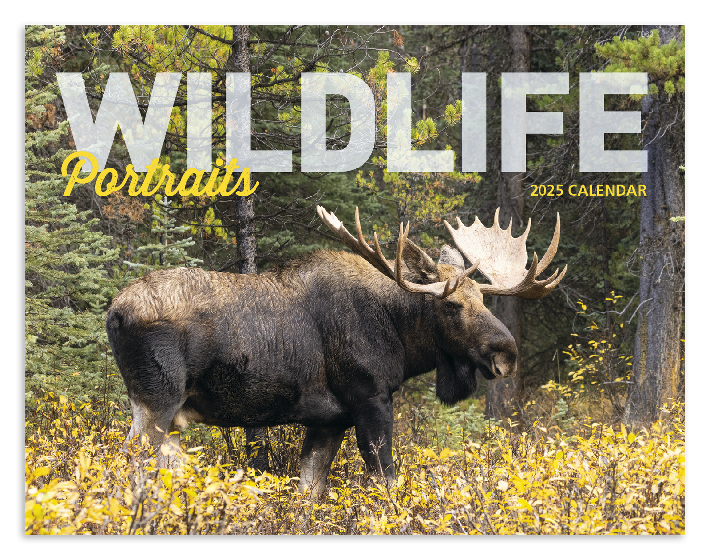 Good Value Wildlife Portraits Window Calendar-7563