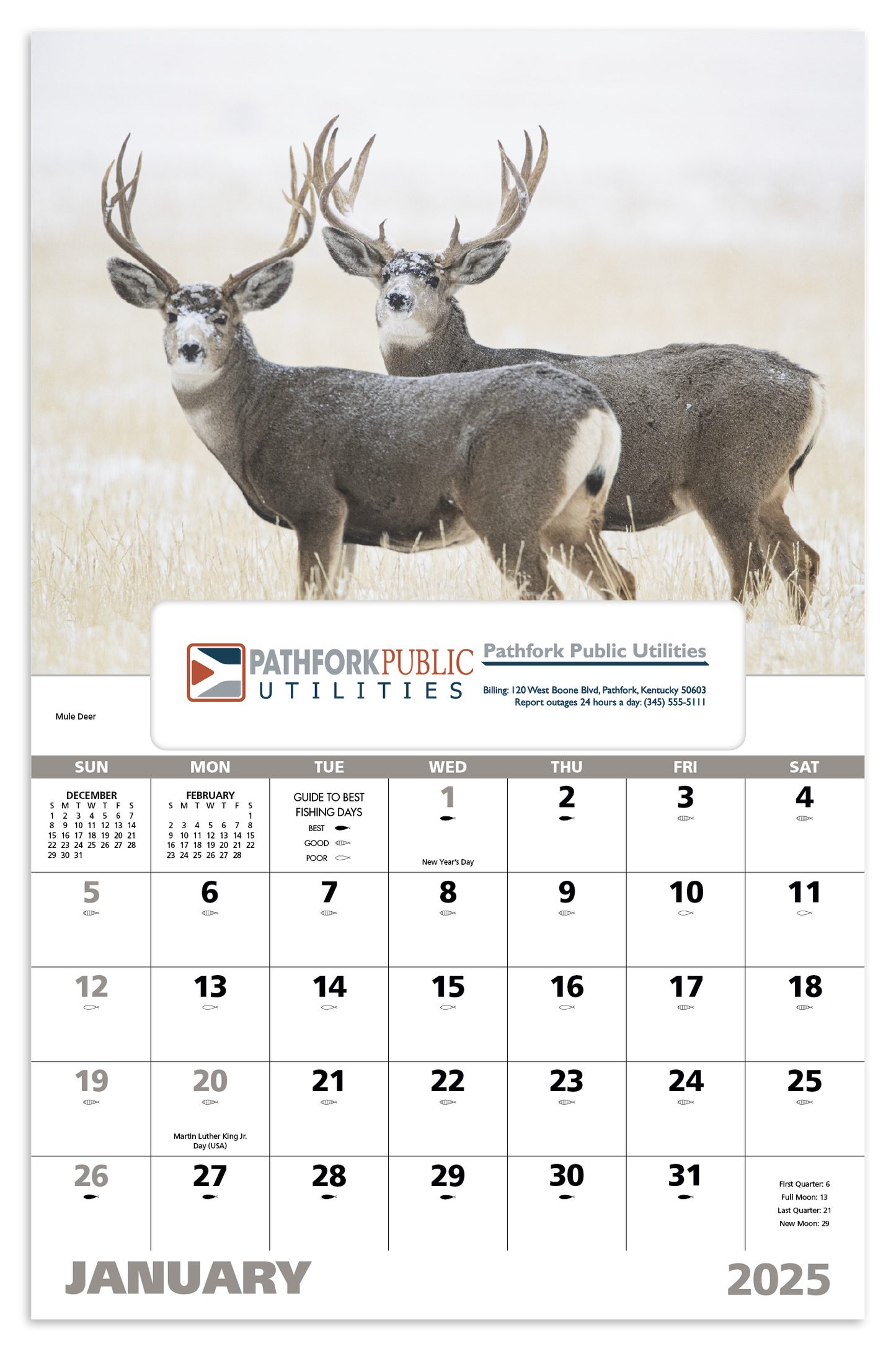 Good Value Wildlife Portraits Window Calendar-7563