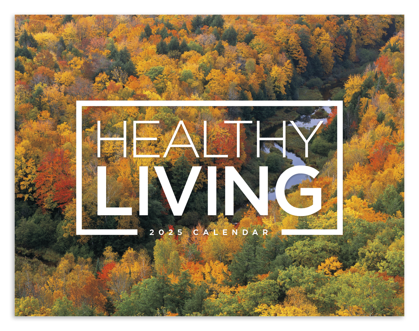 Good Value Healthy Living Window Calendar-7573