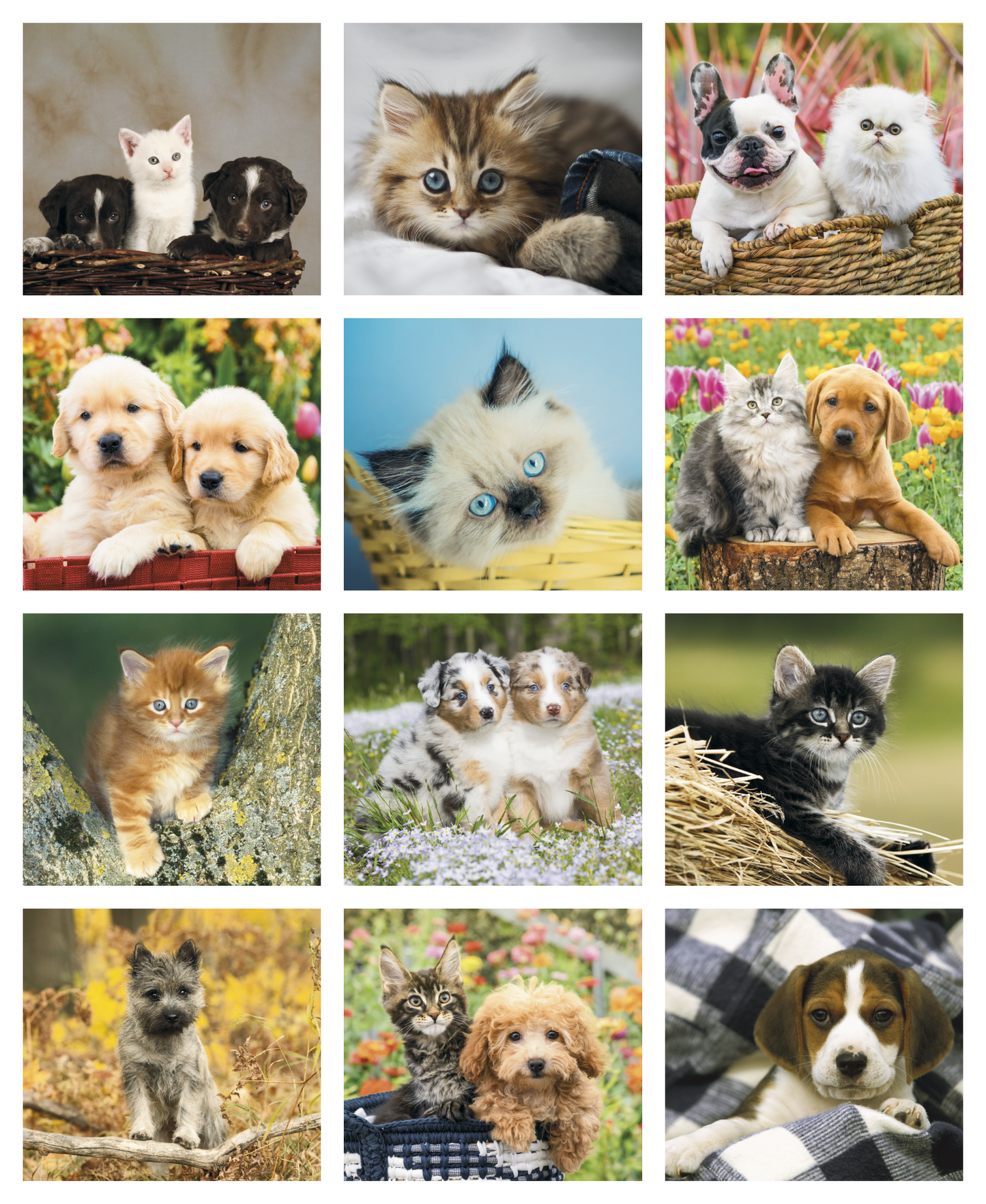 Good Value Puppies Kittens Mini Calendar-7708