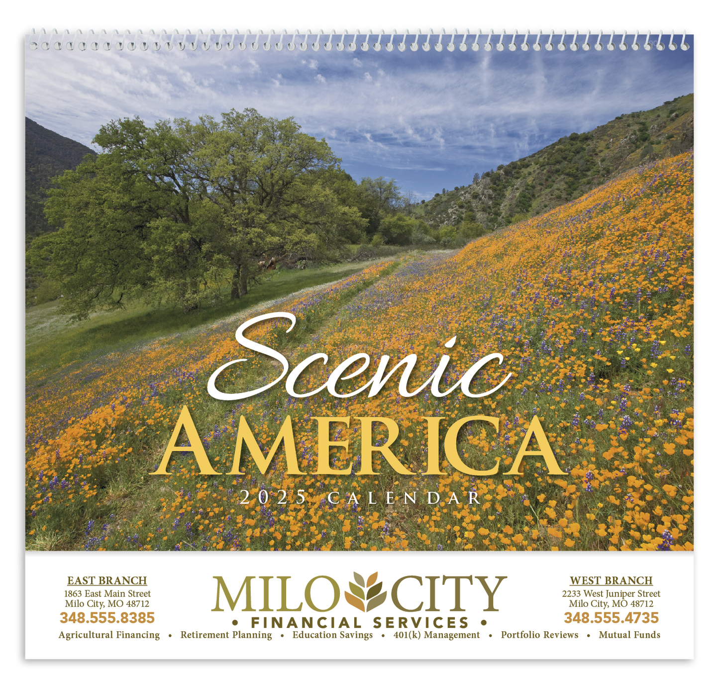 HotLine Products Scenic America Appointment Calendar Spiral-400