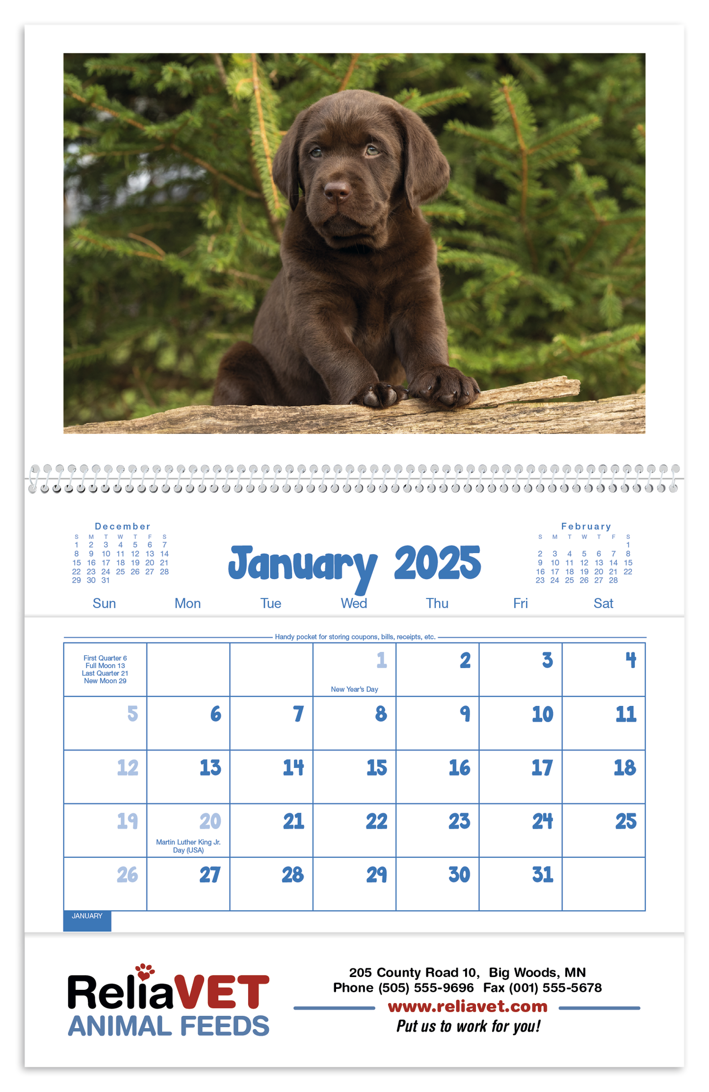 Triumph Calendars Puppies Kittens Pocket Calendar-4155