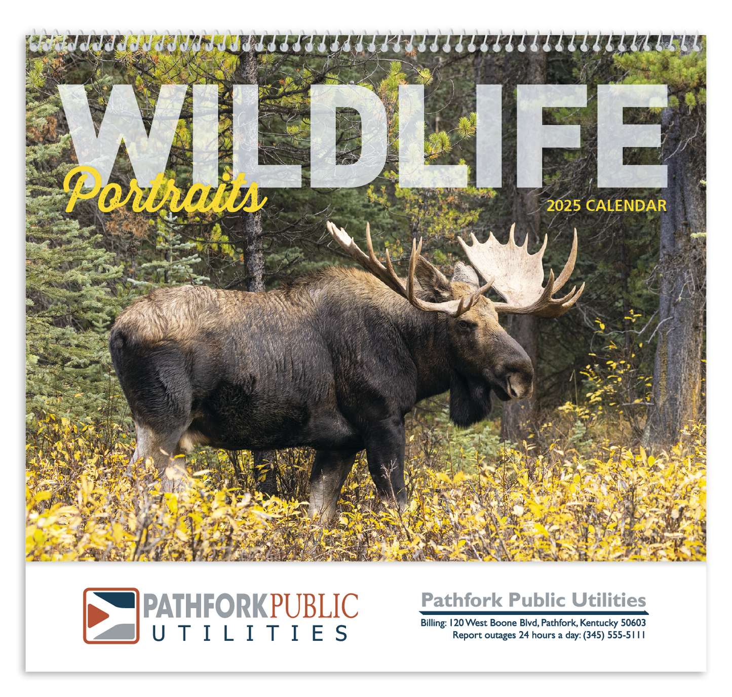 Good Value Wildlife Portraits Spiral Calendar-7063