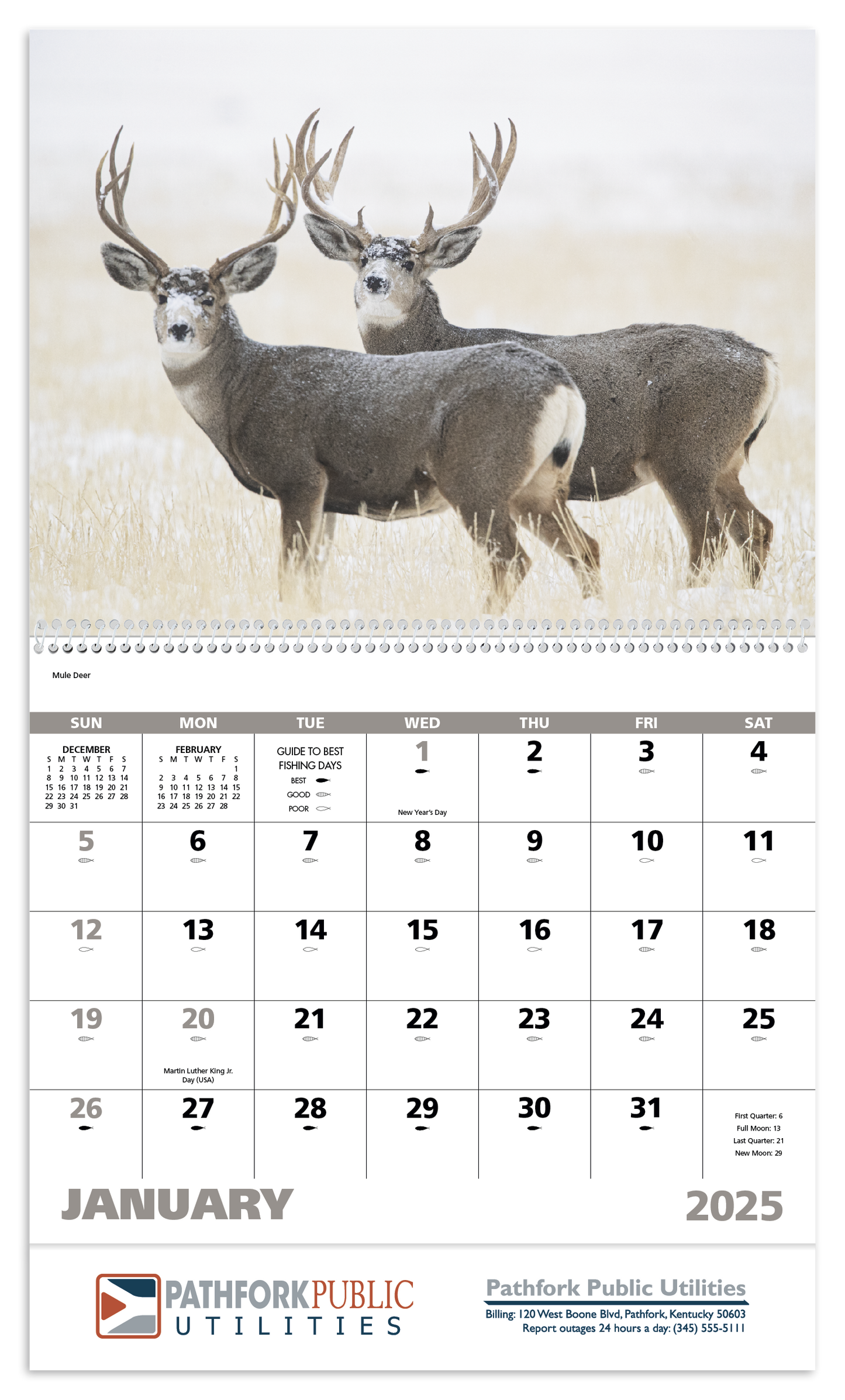 Good Value Wildlife Portraits Spiral Calendar-7063