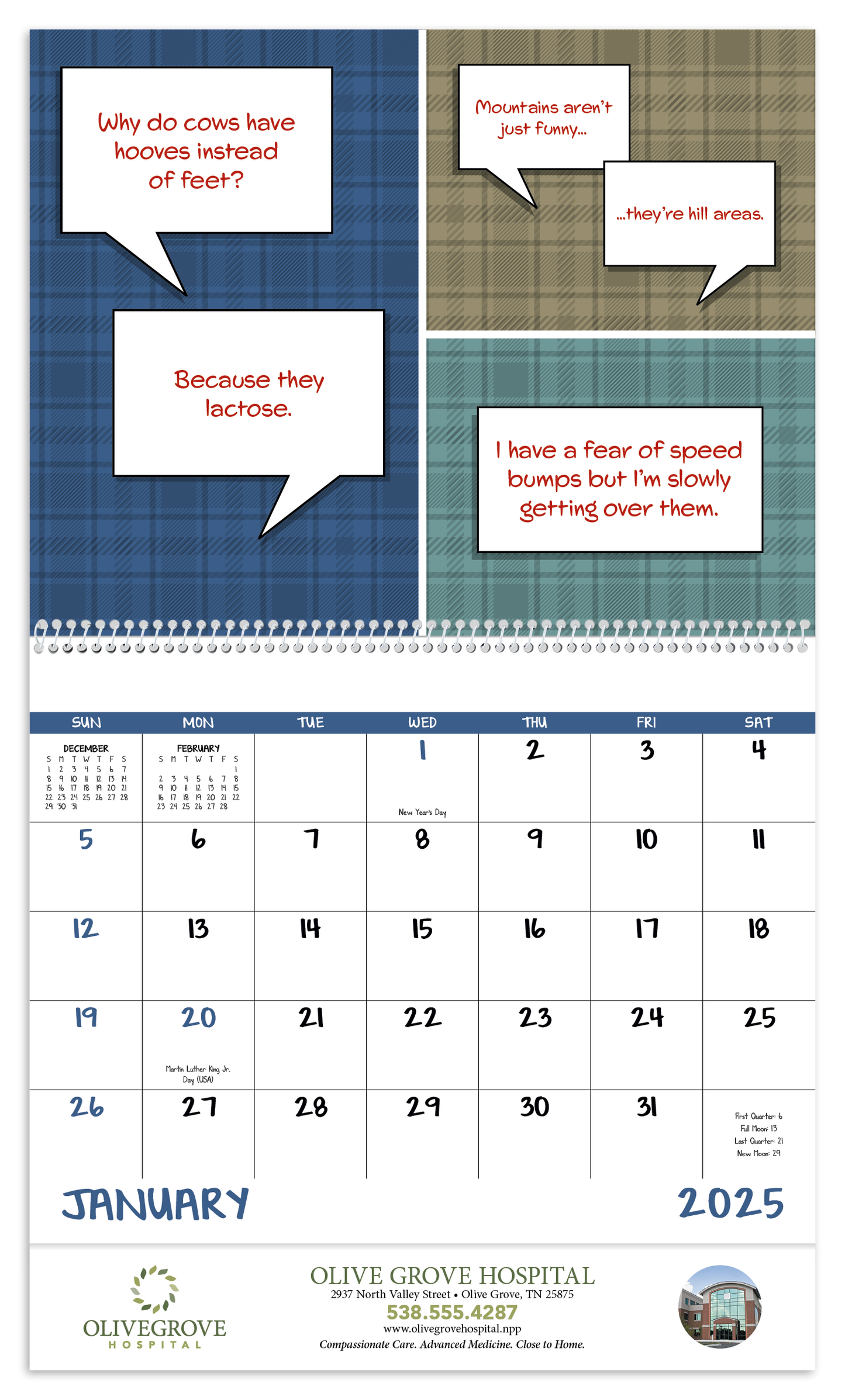 Good Value Dad Jokes Spiral Calendar-7082