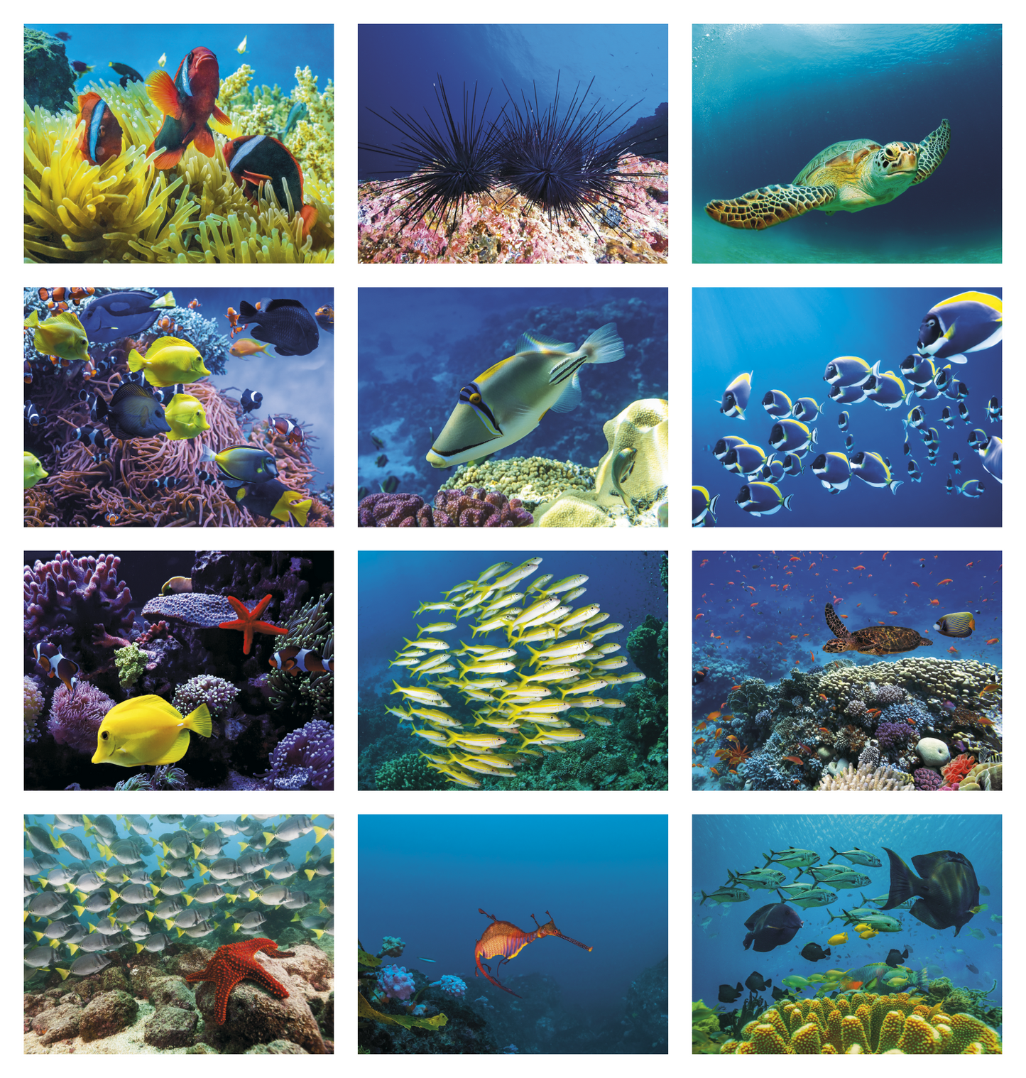 Good Value Ocean Glory Stapled Calendar-7217