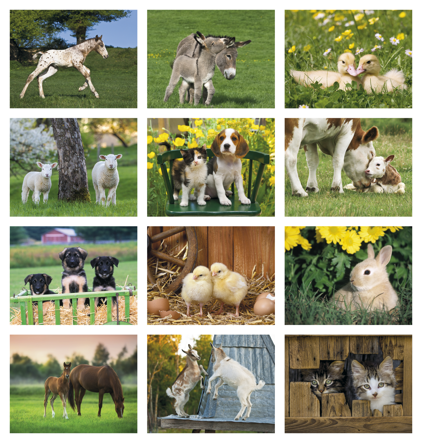 Good Value Baby Farm Animals Stapled Calendar-7220