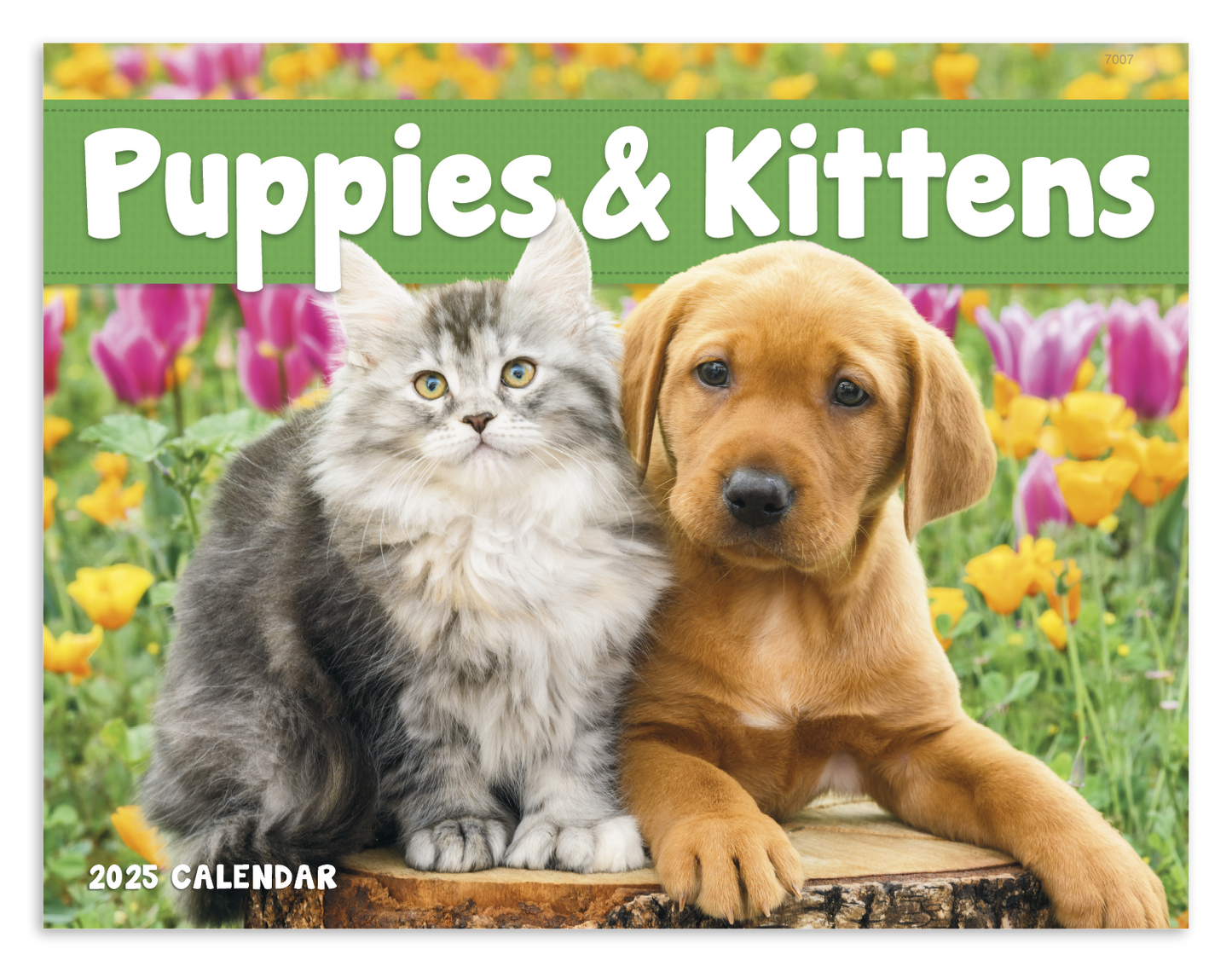 Good Value Puppies Kittens Window Calendar-7507