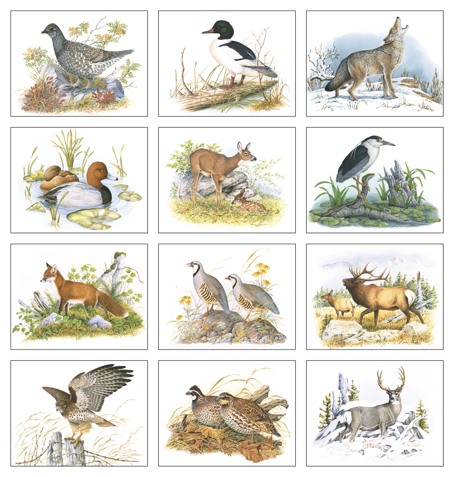 Good Value Wildlife Trek Spiral Calendar-7003