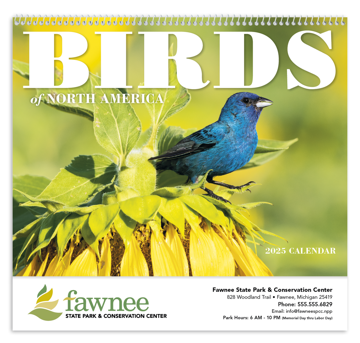 Good Value Birds of North America Spiral Calendar-7036