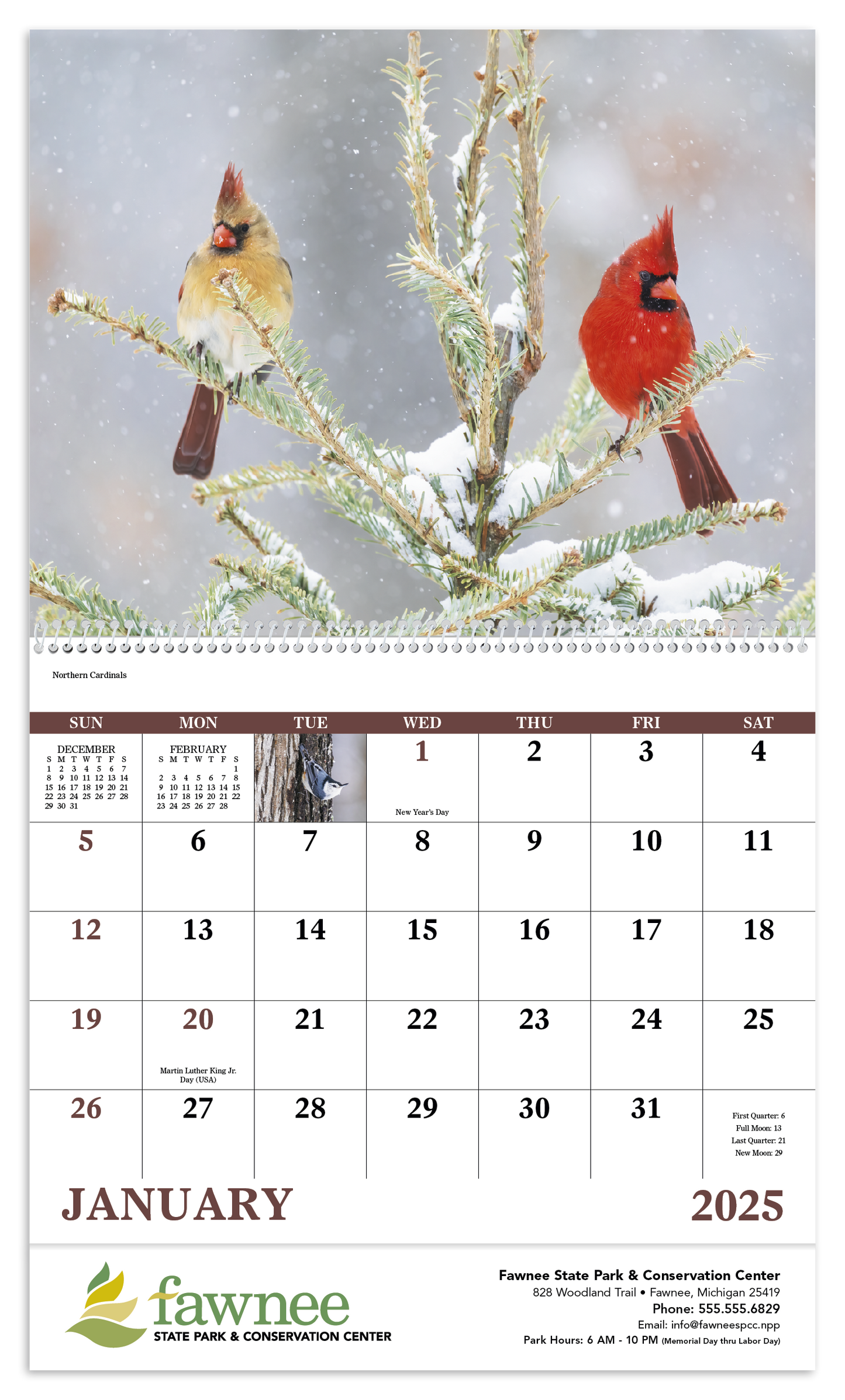 Good Value Birds of North America Spiral Calendar-7036