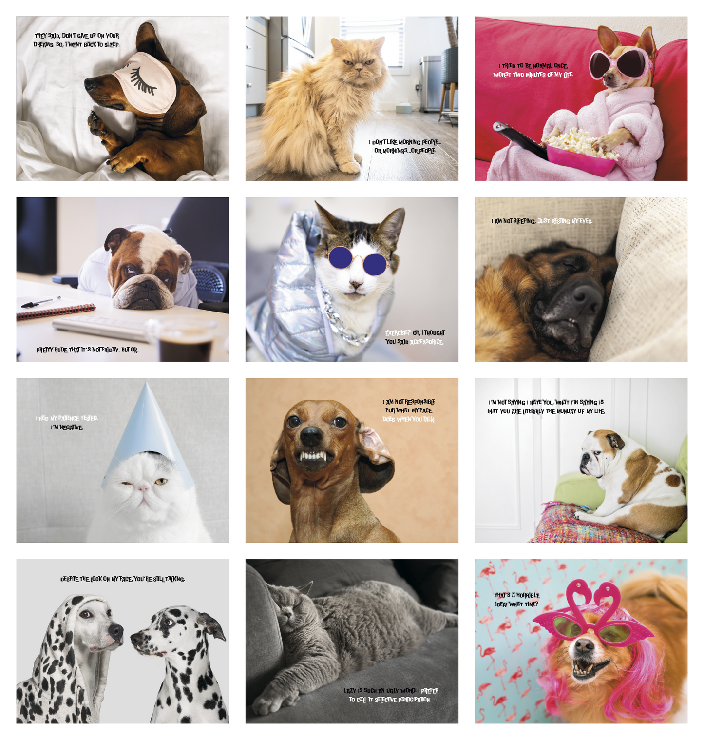 Good Value Pets with Attitude Stapled Calendar-7286